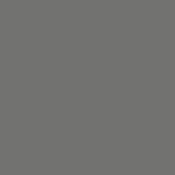 Seamless Photography Photo Backdrop Background Paper Roll for Photoshoot 53 inches Wide x 16 feet Long, Neutral Grey - color: Neutral Grey, size: 53"x16'
