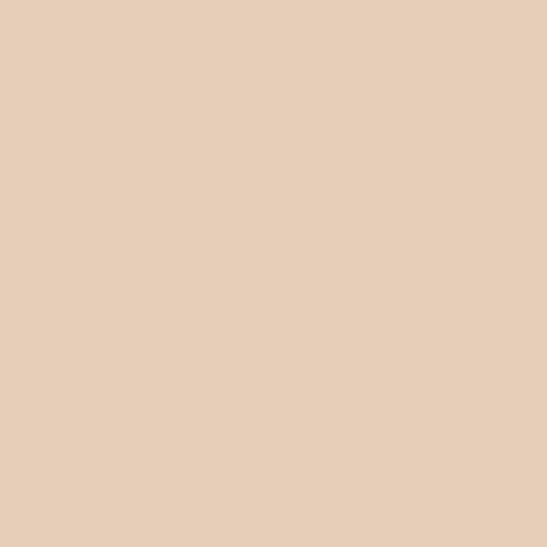 Denny Manufacturing - Seamless Paper Backdrop for Photography, Buff Seamless Paper Roll (53 in x 36 ft) Includes Free Roll Black Gaffer Tape (2 in x 13 ft) - color: Buff, size: 53 in x 36 ft