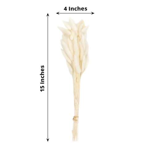 Efavormart 50 Pack 15 inch Natural White Rabbit Tail Dried Pampas Grass, Soft White Bunny Tail Grass Stems for Airy Modern Decor and Bridal Shower Centerpieces - color: White, size: 15"