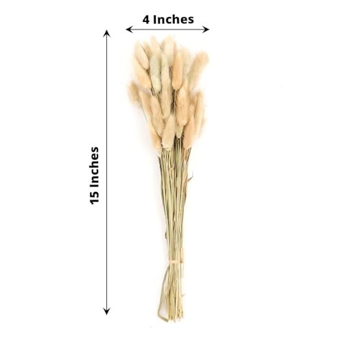 Efavormart 50 Pack 15 inch Natural Beige Rabbit Tail Dried Pampas Grass, Organic Bunny Tail Grass Stems for Minimalist Home Accents and Neutral Boho Decor - color: Natural, size: 15"