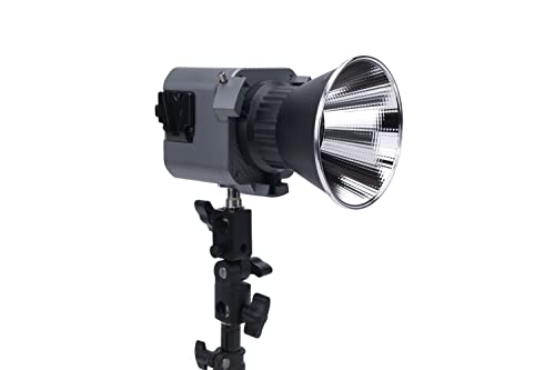 Aputure Amaran 60D S,Amaran 60D COB Daylight 5600k 65W LED Video Light,Bluetooth App Control,DC/AC Power Supply