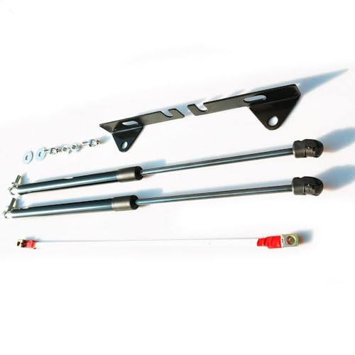 Car Front Hood Support Spring Strut Bars Hydraulic Rod Styling Compatible With Nissan X-Ttail T32 2013-2019 Car-Styling(Carbon silver) - color: Carbon silver