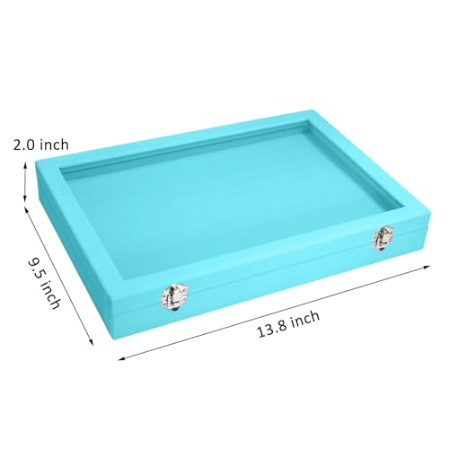 Vicoter Rings Organizer Tray 100 Slot Velvet Ring Earring Storage Box TranSparent Cover Jewelry Store Ring Display Box Jewelry Display Cabinet for Girl Wife Mother - color: Light Blue