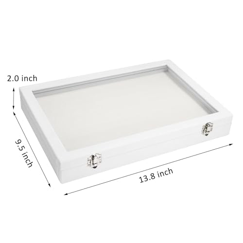 Vicoter Rings Organizer Tray 100 Slot Velvet Ring Earring Storage Box TranSparent Cover Jewelry Store Ring Display Box Jewelry Display Cabinet for Girl Wife Mother - color: Ivory