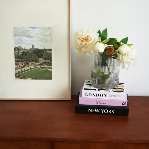 3 PCS Faux Decorative Books for Home Decor-Coffee Table Books Decor-Aesthetic Fake/Faux Books for Decoration,libros Decoration for Coffee Table, Shelf Accessories (3-Mix-MilanNewYorkLondon) - color: 3-mix-milannewyorklondon