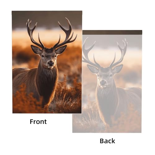 Antler Red Deer Backdrop Background for Photography 5x7ft Photobooth Professional Photo Backdrop Curtains Video Photography Studio Photo Backgrounds Banner Booth Background Screen Parties - color: Antler Red Deer