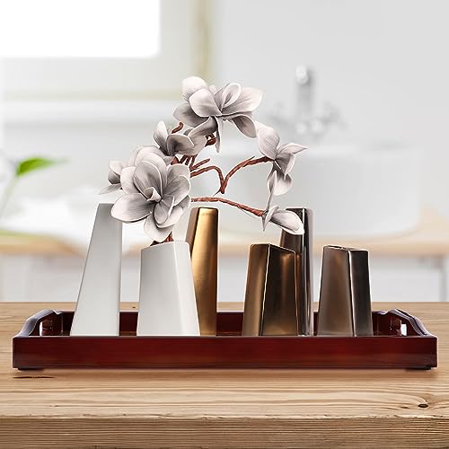MDLUU Plastic Serving Tray, Ottoman Tray with Cutout Handles, Rectangle Butler Tray for Breakfast in Bed, Coffee Table Decor, Party (Red Brown) - color: Red Brown
