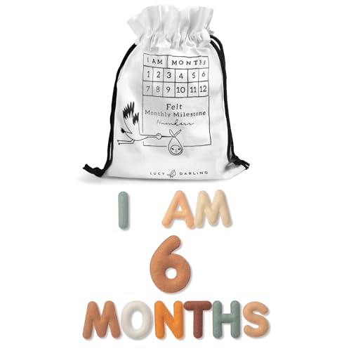 Baby Monthly Milestone Numbers – Signs & Photo Props – Soft Felt Letters & Numbers for Baby Announcement, Newborn Photography, Neutral - color: Neutral