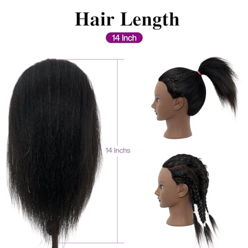Mannequin Head 100% Real Hair,14”-16” Braiding Mannequin Head with Stand&Table Clamp,Real Hair Cosmetology Manikin Head with Mannequin Head Stand - color: Dark Gray