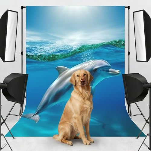 Swimming Dolphin in Blue Sea Backdrop Background for Photography 5x7ft Photobooth Professional Photo Backdrop Curtains Video Photography Studio Photo Backgrounds Banner Booth Background Screen Parties - color: Swimming Dolphin In Blue Sea