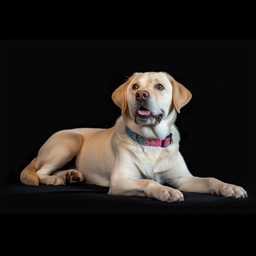 Kate Photography Floor Mat Black Photography Rubber Floor Mats Pure Black Flooring Mat Photo Studio Props, 8x5ft - color: Black, size: 8x5ft
