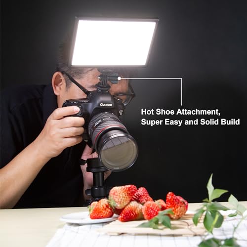 VILTROX 15W LED Video Light Panel, 3300K-5600K On Camera Light, Super Thin Key Light Panel with NP-F550, Led Photography Lighting CRI95+ for Studio Photography Video Recording Live Streaming (L116T - size: 15W CCT & Super Slim