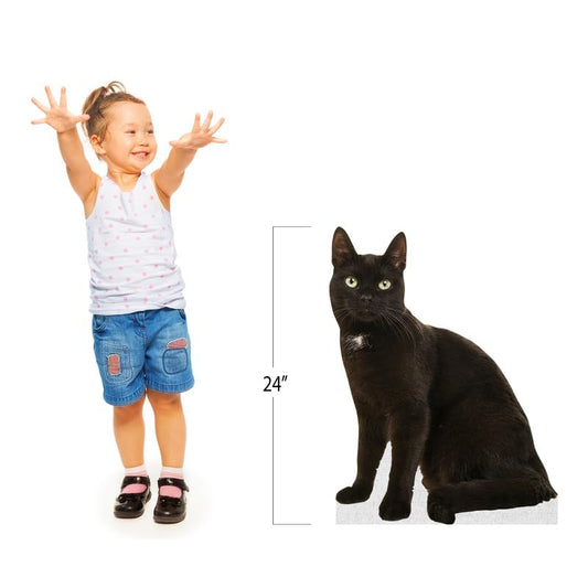 CAT - Black - Life Size Cardboard Cutout Standup People with Support Standee | Animals - - color: Cat - Black