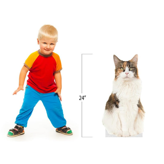 CAT - Calico CAT - Life Size Cardboard Cutout Standup People with Support Standee | Animals - - color: Cat - Calico Cat