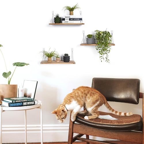 Floating Shelves Set of 3 Rustic Solid Wood Floating Shelf Wall Storage Shelves for Living Room, Bedroom, Bathroom, Kitchen Laundry, Office,no Drill Shelf(Light Color L+L+L) - color: Light Color, size: L+L+L