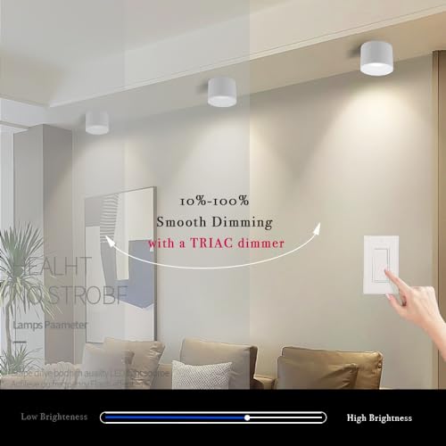 LED Dimmable Ceiling Spotlight Aluminum White 4.72" Cylinder Spot Light Indoor Modern Minimalist Focus Accent Down Light for Cylinder Hallway Kitchen Foyer CRI 98 12W 3000K - color: White, size: Round-12W-Dimmable