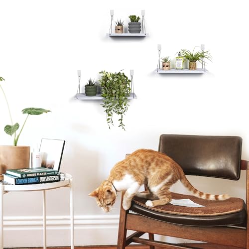 Floating Shelves Set of 3 Rustic Solid Wood Floating Shelf Wall Storage Shelves for Living Room, Bedroom, Bathroom, Kitchen Laundry, Office,no Drill Shelf(Grey and White Colour L+M+S) - color: Grey and White Colour, size: L+M+S