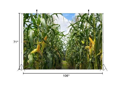 BELECO 9x6ft Green Cornfield Backdrop Fabric Rural Corn Fields Maize Photography Background Farmland Crops Fall Harvest Theme Party Decor Backdrop Coutryside Farm Agriculture Scenery Photo Props - size: 9x6FT