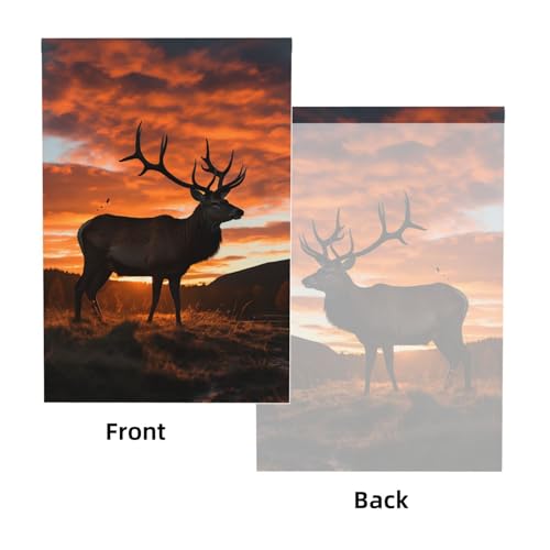 Red Deer Bull Elk Sunset Backdrop Background for Photography 5x7ft Photobooth Professional Photo Backdrop Curtains Video Photography Studio Photo Backgrounds Banner Booth Background Screen Parties - color: Red Deer Bull Elk Sunset
