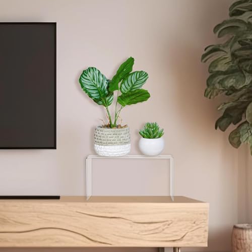 RattanView 2 Pcs 14 Inch Large Acrylic Risers Display Stands 5 mm Thick Acrylic Shelf Riser Showcase for Collectibles Jewelry Cupcakes Food Figures Perfume Cabinet (Clear) - color: Clear, size: 14 Inch, 5 mm