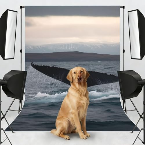 Humpback Whale Tail Ocean Backdrop Background for Photography 5x7ft Photobooth Professional Photo Backdrop Curtains Video Photography Studio Photo Backgrounds Banner Booth Background Screen Parties - color: Humpback Whale Tail Ocean