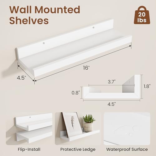 Heimlove Picture Ledge Shelf, Small Floating Shelves Set of 2, 16 Inches Picture Shelf for Wall with Ledge, Kids Bookshelf Wall Mounted for Living Room Bedroom Decor,White - color: White, size: 16'', Set of 2