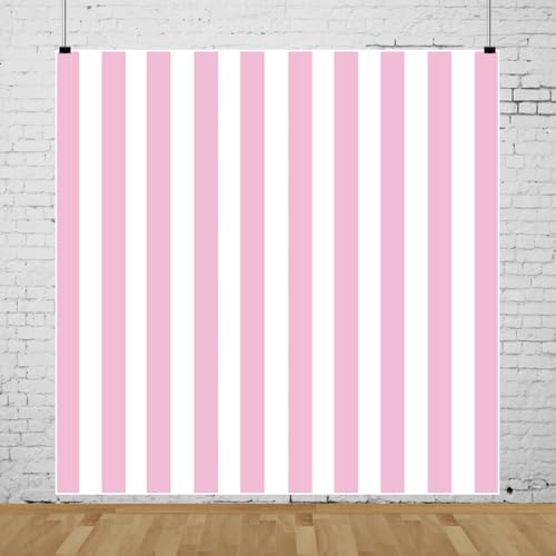 Leyiyi 8x8ft Photography Background Pink and White Stripe Backdrop Happy Birthday Party Vertical Horizontal Stripes Summer Holiday Banquet Baby Shower Blog Make-up Photo Portrait Vinyl Studio Prop - color: Pink,White, size: 8x8ft