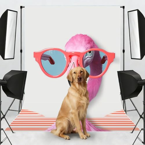 Hello Glasses Flamingo Backdrop Background for Photography 5x7ft Photobooth Professional Photo Backdrop Curtains Video Photography Studio Photo Backgrounds Banner Booth Background Screen Parties - color: Hello Glasses Flamingo