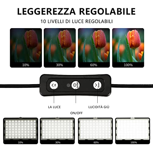 Photography Video Lighting Kit, LED Studio Streaming Lights W/70 Beads & Color Filter for Camera Photo Desktop Computer Conference Game Stream YouTube TikTok Portrait Shooting Pack of 2