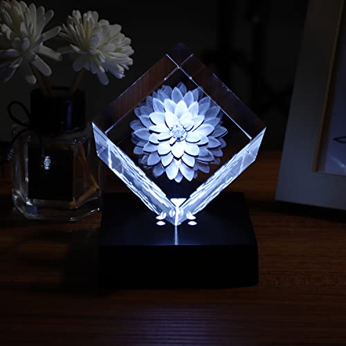 Facmogu LED Lights Base for Crystal 3D Glass Art, Plactic Pedestal Color Show Stand for Crystal Awards, Trophies, Statues, Figurines,USB Powered LED Display Base Stand (White) - color: White