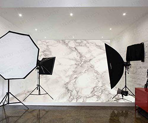 10x7ft Nature Stone Texture Backdrop Marble Texture Backdrop for Birthday Party Photography Background Portrait Photo Backdrops Photo Booth Studio Props BJLY18
