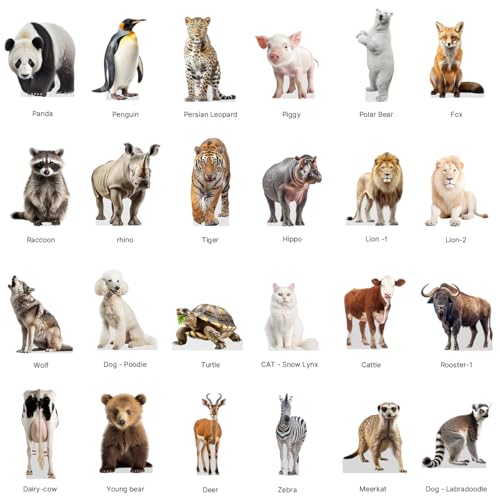 Crocodile - Life Size Cardboard Cutout Standup People with Support Standee | Animals - - color: Crocodile