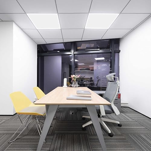Pushglossy 4 Pack 22.5" x 22.5" x 0.08" Frosted Fluorescent Light Diffuser Panels, Translucent Polystyrene Sheet Replacement for 2x2ft Drop Ceiling Lights for Classroom Office Home - size: 22.5" X 22.5" X 0.08"