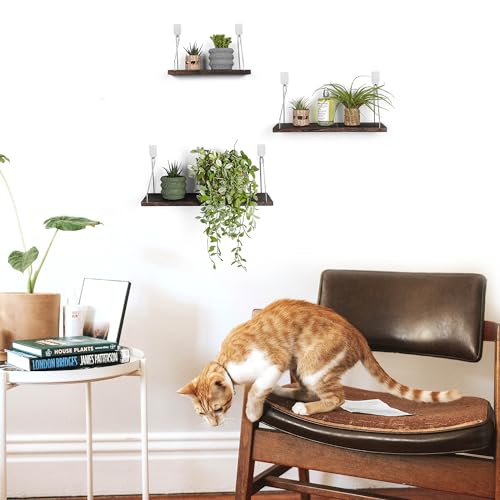Floating Shelves Set of 3 Rustic Solid Wood Floating Shelf Wall Storage Shelves for Living Room, Bedroom, Bathroom, Kitchen Laundry, Office.no Drill Shelf.(Retro Color L+M+S) - color: Retro Color, size: L+M+S