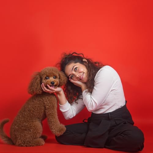 Kate Seamless Paper Backdrop Red Seamless Backdrop Paper Rolls (86''x32.8' Scarlet) - color: Scarlet, size: 86''x32.8'