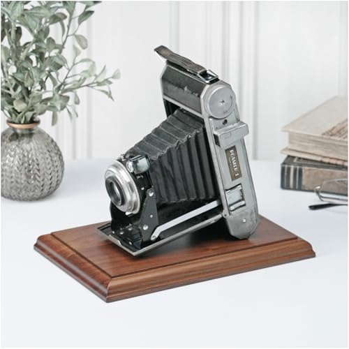 Plymor Solid Walnut Rectangular Wood Display Base with Ogee Edge, 8.875" W x 5.875" D x 0.75" H - size: 8.875" x 5.875" x 0.75"