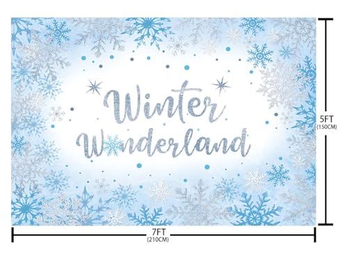 AIBIIN 7x5ft Winter Wonderland Backdrop for Photography Winter Wonderland Baby Shower Backdrop for Boys Baby It's Cold Outside Blue Snowflake Decorations Banner Photo Props Supplies - size: 7x5ft