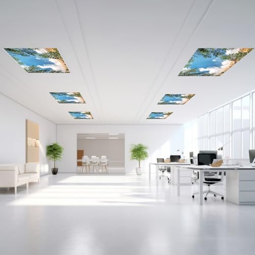 Outus Fluorescent Light Cover Classroom Lighting Cover with 10 Magnets Light Filter Magnetic Ceiling Panel Decoration 2 x 4 ft (23.62 x 47.24 In) Reduce Glare for Office School(4,Peak) - style: Peak