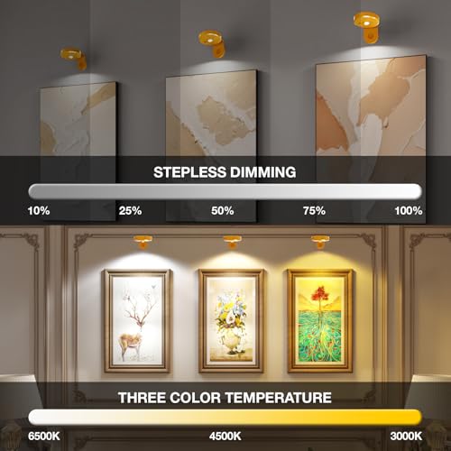 Picture Lights for Wall Wireless with Magnetic,2000mAh Rechargeable Picture Frame lights with Dimmable,Puck Lights with Remote Control,Art Lighting for Paintings,Counter, Shelf,Bookcase(4 Pack,Gold) - color: Gold-4 PACK