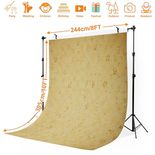 Photography Backdrop Photography Background Antique Torn for Photoshoot Portrait Photo Studio Video Prop Birthday Party Booth Decoration 10x8ft - color: Color1