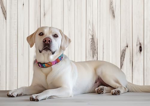 Kate 5x7ft White Wood Shiplap Backdrop for Photography Vintage Wooden Texture Photo Backdrops White Retro Plank Background - color: Wood 4, size: 7x5ft