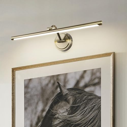 Hard-Wired Picture Lights 23.6 Inch Dimmable LED Wall Art Lighting Modern Gallery Light Poster Lights Adjustable Swing Arm Picture Frame Light for Display Art Work,14W,2700K, Warm White Antique Bronze - color: Hard-wired Antique Brass-Dimmable, size: 24 I