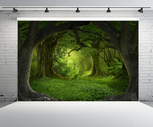 6x4ft Enchanted Forest Backdrop Fairy Tale Wonderland Magical Fantasy Forest Tropical Jungle Rainforest Photo Background for Jungle Safari Theme Party Decor Wallpaper Photo Booth Props - size: 6x4FT