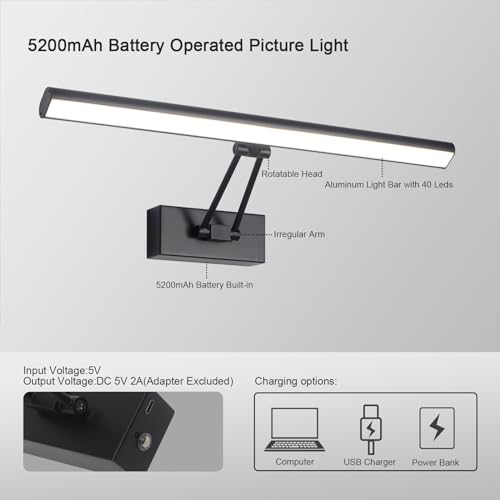 Picture Light, 13.5" Art Light, Black Picture Light Battery Operated,3CCT,Wireless Picture Lights with Remote, Light Over Picture Frame for Wall Painting(Black) - color: Matt Black, size: 13.5inches