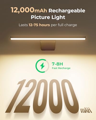 Picture Light for Wall Rechargeable Art Light with Remote, 3 Colors & 5 Brightness Levels, 12000mAh Battery Operated Lights for Pictures, Gallery, Bedroom, Hallway, Frame, Living Room (Black,1 Pack) - color: Black, size: 1 Pack