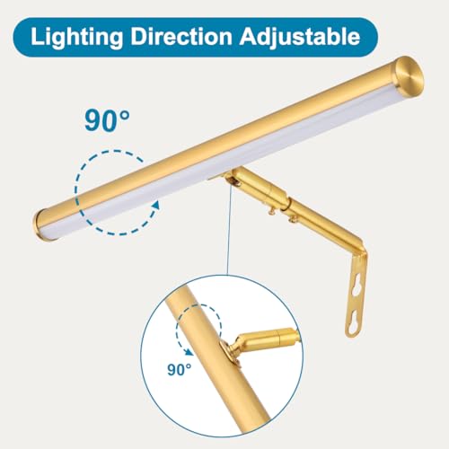 LED Picture Lights for Paintings Plug in, Adjustable Art Light Gallery Wall Light for Display Art Work, 14 Inch 4W 3000K Warm White, Gold Finish CRI90+, ETL Listed - color: Gold, size: 14 inch