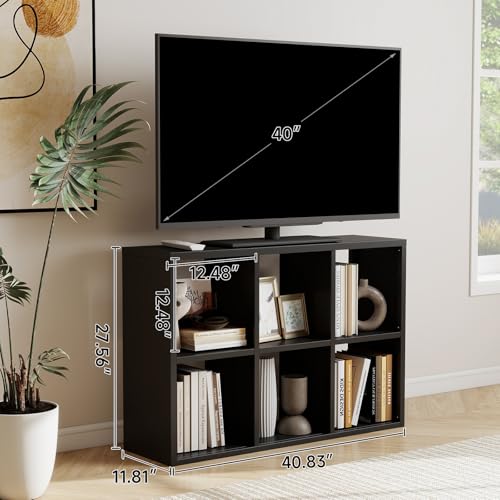 Metal 6 Cube Storage Organizer, Black Bookshelf with Storage, 2 Tier Short Storage Cubes, Small Horizontal Bookcase, TV Stand Metal Display Shelf for Living Room, Office, Study - color: Black, size: 6 Cube