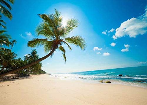 BELECO 9x6ft Fabric Tropical Beach Backdrop Tropical Sand Beach with Palm Trees Ocean Summer Hawaii Phtography Backdrop for Luau Party Decoration Birthday Banner Photoshoot Photo Background Props - size: 9x6ft