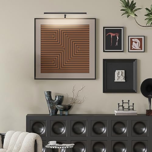 Picture Lights for Paintings Plug in, 16" 4W Adjustable LED Picture Light Art Light with Timer, Remote Control Gallery Painting Wall Light for Picture Display Frame Dartboard Art Work (Black) - color: Black, size: 15.7inch,1 pack