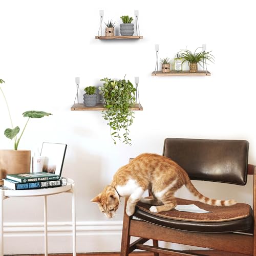 Floating Shelves Set of 3 Rustic Solid Wood Floating Shelf Wall Storage Shelves for Living Room, Bedroom, Bathroom, Kitchen Laundry, Office,no Drill Shelf (Light Color L+M+S) - color: Light Color, size: L+M+S